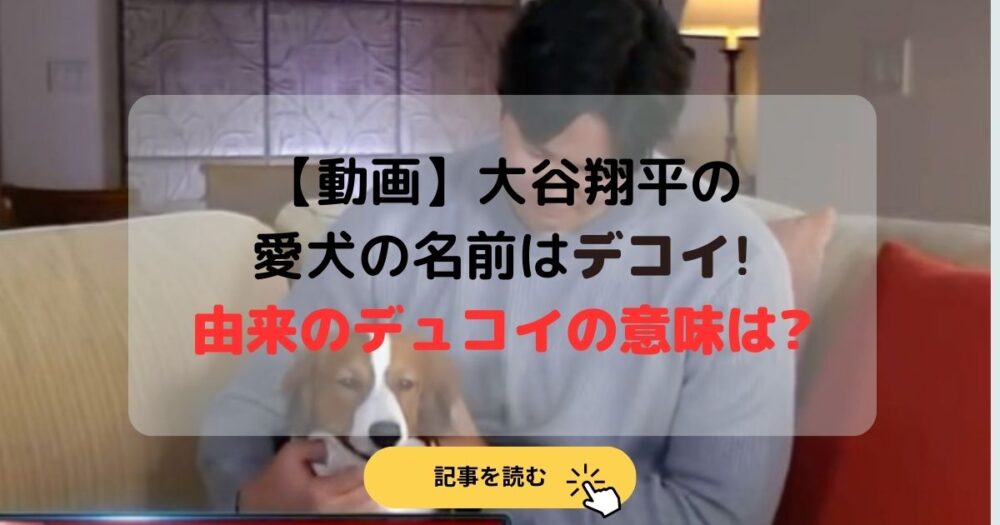 【動画】大谷翔平の愛犬の名前はデコピン!由来のディコイの意味は?
